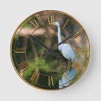 Great White Egret