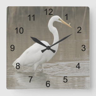 Great White Egret Square Wall Clock