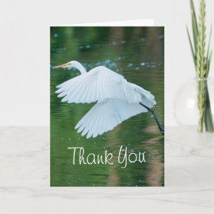 Great White Egret Thank You Card