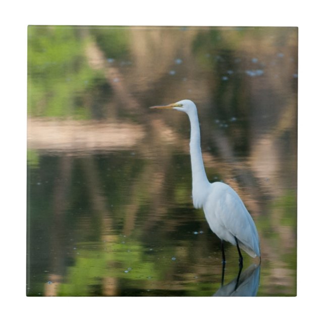 Great White Egret Tile (Front)