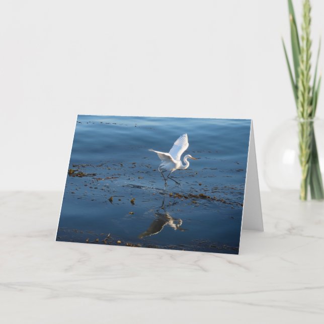Great White Egret walks on Water Card (Front)