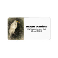 Great White Egret Water Bird Digital Art Painting