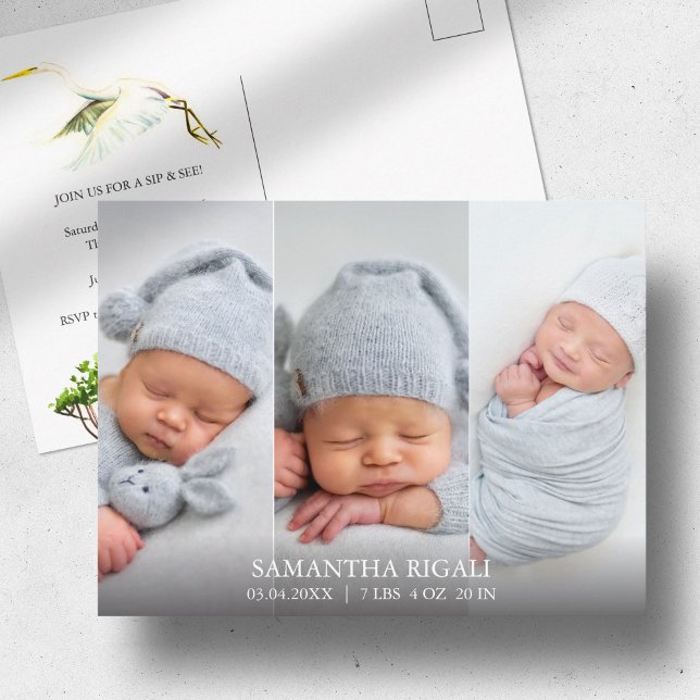 Great White Heron 3 Photo Birth Announcements Postcard (Birth announcements cards 3 photo and watercolor white heron and mangroves Victoria Grigaliunas)