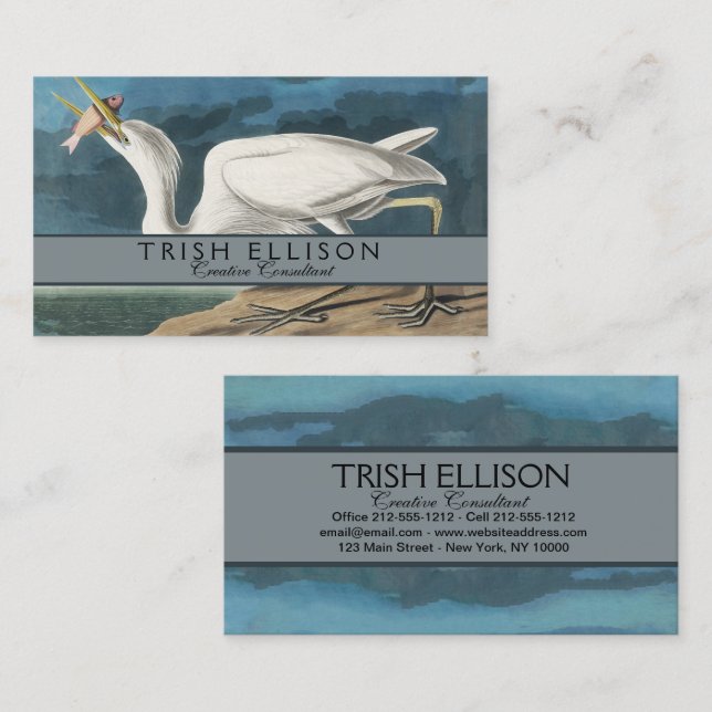 Great White Heron Audubon Bird Wildlife Painting Business Card (Front/Back)