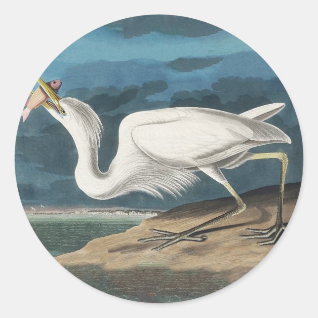 Great White Heron Audubon Bird Wildlife Painting Classic Round Sticker (Front)