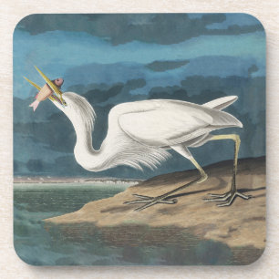 Great White Heron Audubon Bird Wildlife Painting Coaster