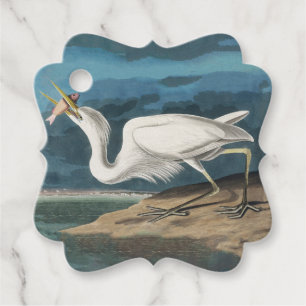 Great White Heron Audubon Bird Wildlife Painting Favour Tags