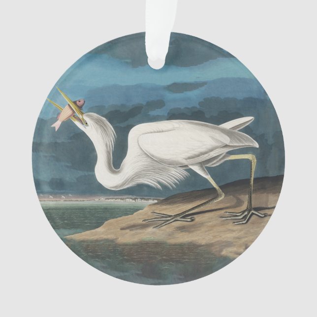 Great White Heron Audubon Bird Wildlife Painting Ornament (Front)