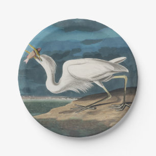 Great White Heron Audubon Bird Wildlife Painting Paper Plate
