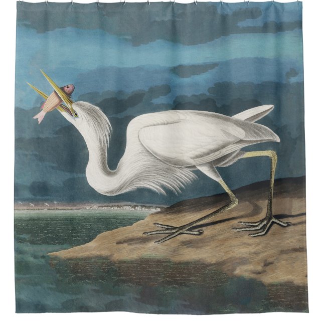 Great White Heron Audubon Bird Wildlife Painting Shower Curtain (Front)