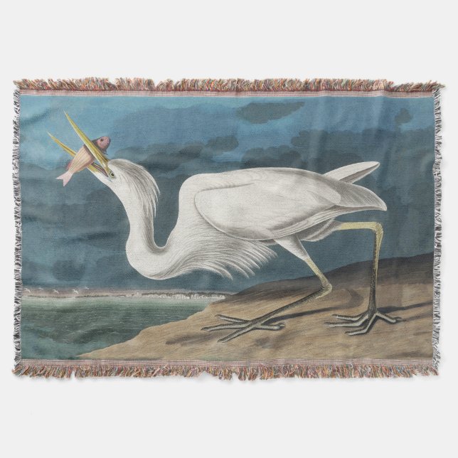 Great White Heron Audubon Bird Wildlife Painting Throw Blanket (Front)