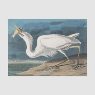 Great White Heron Audubon Bird Wildlife Painting Tissue Paper