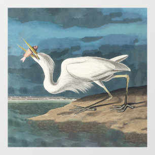 Great White Heron Audubon Bird Wildlife Painting Window Cling