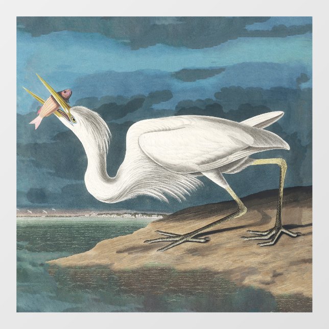 Great White Heron Audubon Bird Wildlife Painting Window Cling (Sheet)