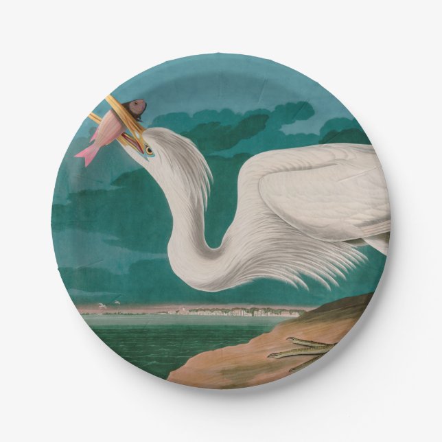 Great White Heron Birds of America Audubon Print Paper Plate (Front)