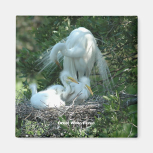 Great White Heron Magnet