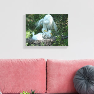Great White Heron nesting Canvas Print