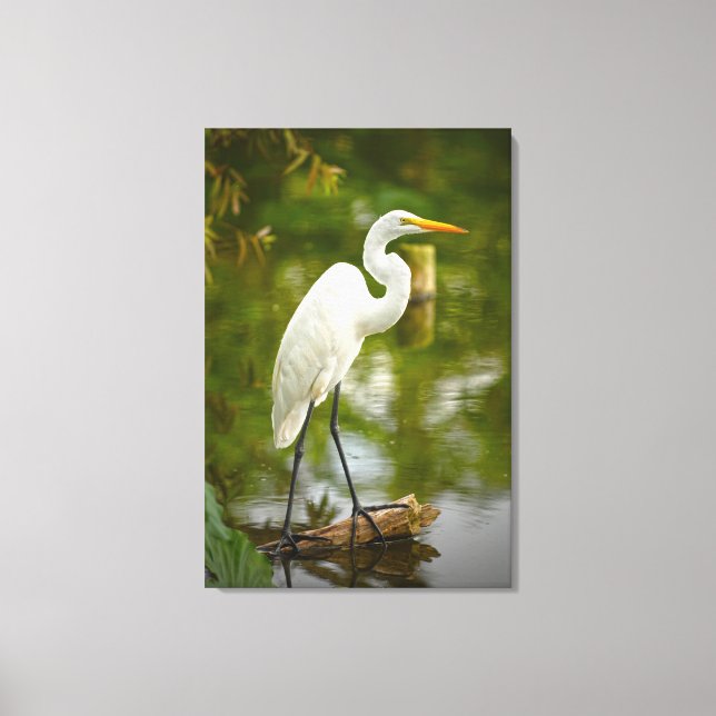 Great White Heron on a Log Nature Photography Canvas Print (Front)
