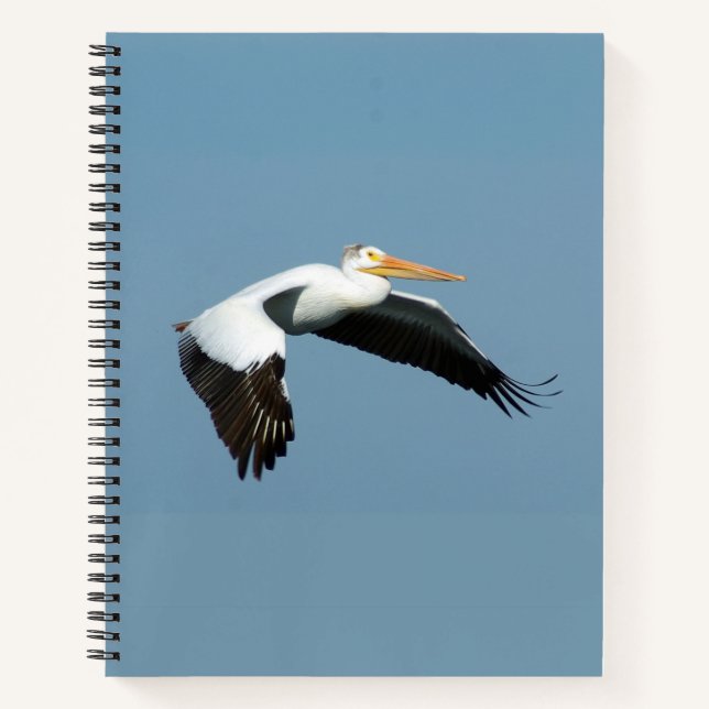 Great White Pelican notebook (Front)