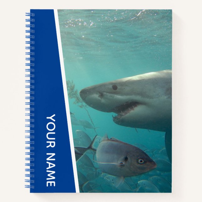 Great White Shark and Fish Australia, Blue Notebook (Front)