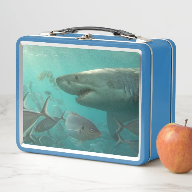 Great White Shark and Fish Underwater Photo Metal Lunch Box (In Situ)