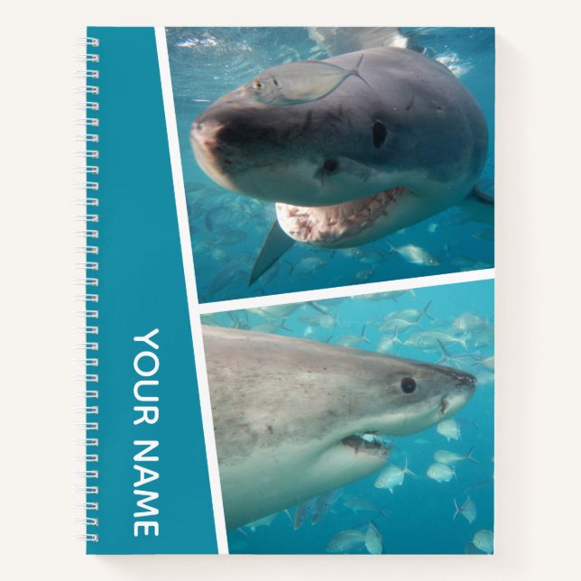 Great White Shark Australia Photo Collage Notebook (Front)