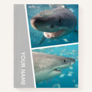 Great White Shark Australia Photo Collage Silver Notebook
