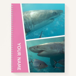 Great White Shark Australia Two Photos, Pink Notebook