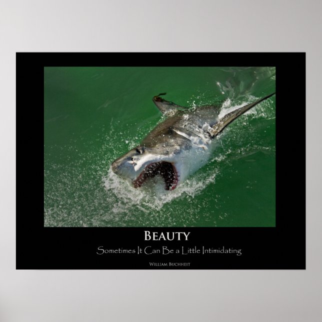 Great White Shark "Beauty" Poster (Front)