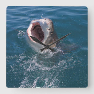 Great White Shark Clock