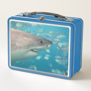 Great White Shark Close Up Ocean Australia Metal Lunch Box