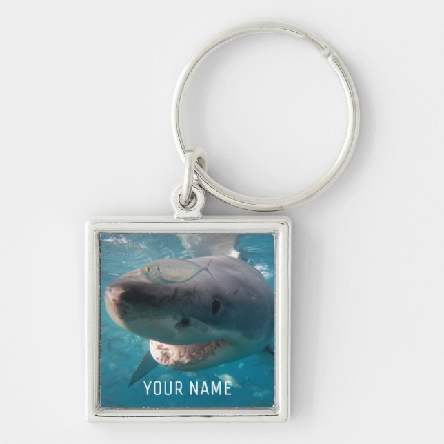 Great White Shark Close Up Underwater Australia Key Ring (Front)