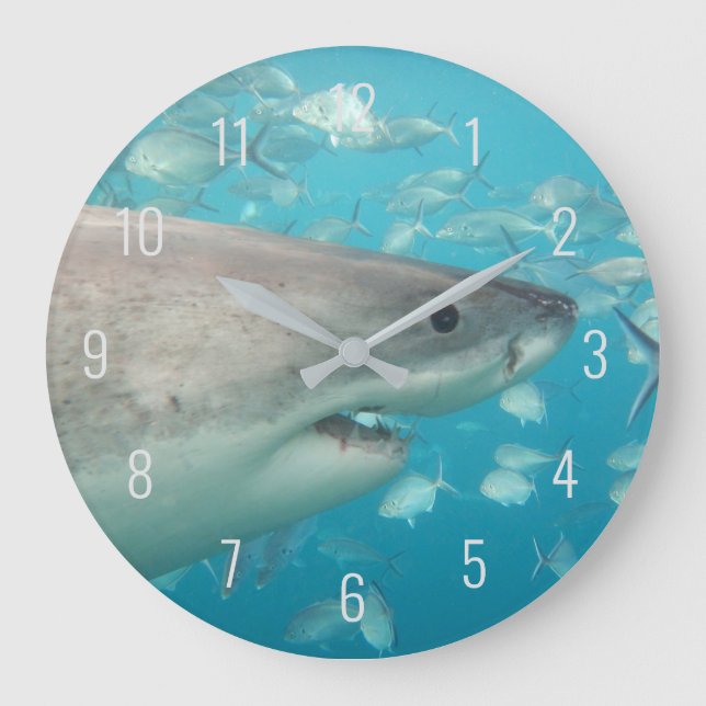 Great White Shark Close Up Underwater Australia La Large Clock (Front)