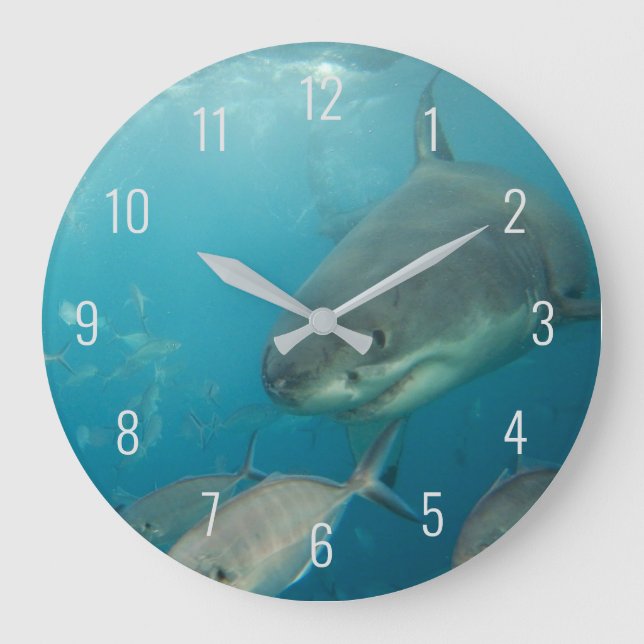 Great White Shark Close Up Underwater Australia Large Clock (Front)