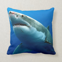 Great White Shark