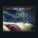 Great white shark jaws holiday postcard<br><div class="desc">This is a closeup photo I took of a great white shark in South Africa</div>