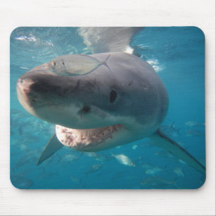 Great White Shark Mouse Mat
