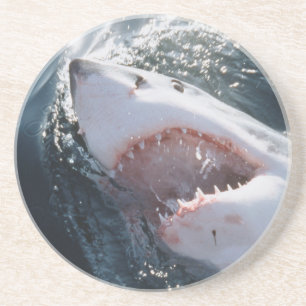 Great White Shark on sea Coaster
