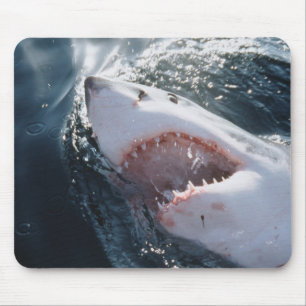 Great White Shark on sea Mouse Mat