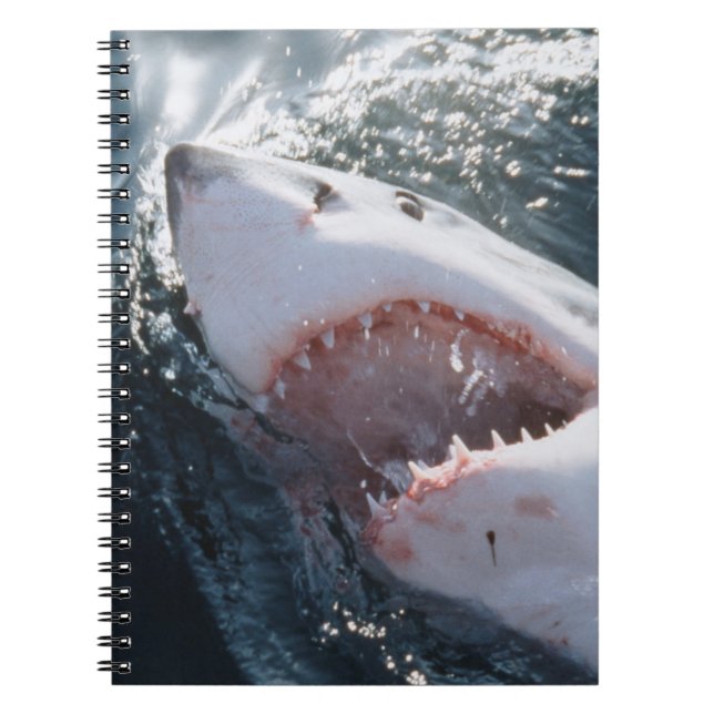 Great White Shark on sea Notebook (Front)