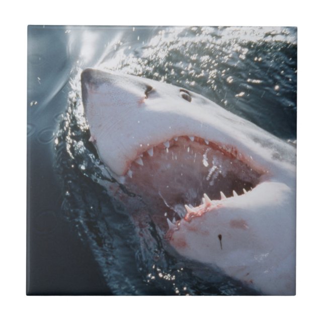 Great White Shark on sea Tile (Front)