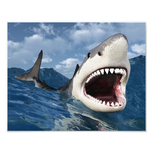 Great White Shark Photo Print (Front)
