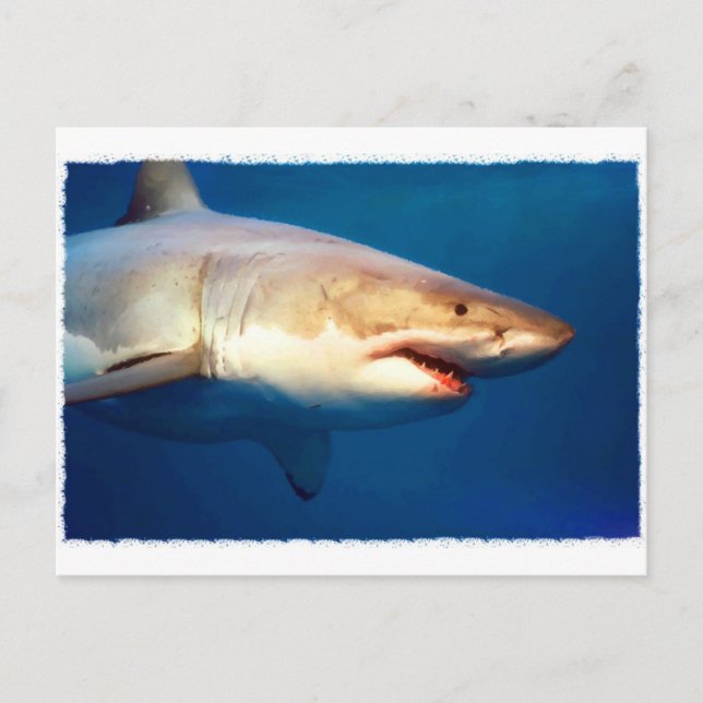 Great White Shark Postcard (Front)