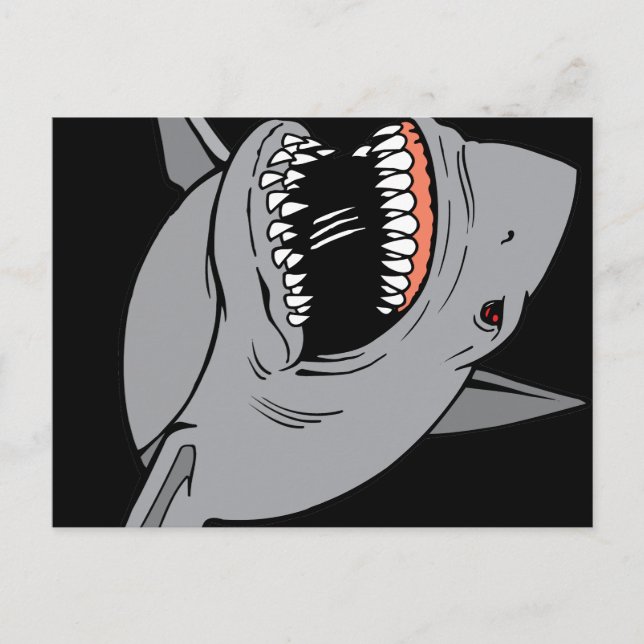 Great White Shark Postcard (Front)