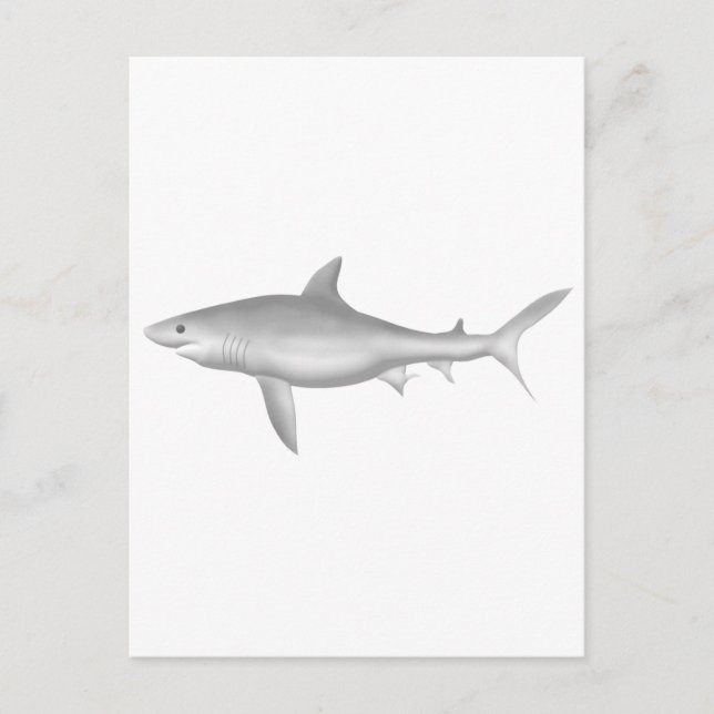 Great White Shark Postcard (Front)