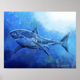 Great White Shark Poster