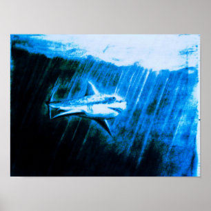 Great White Shark Poster