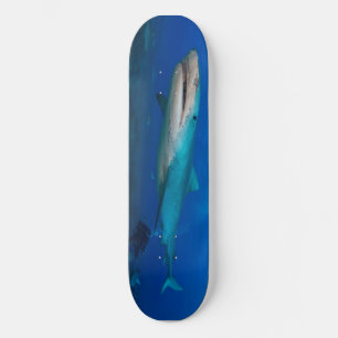Great White Shark Skateboard