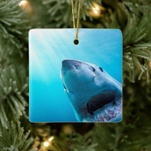 Great White Shark South Africa Ceramic Ornament