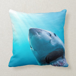 Great White Shark   South Africa Cushion